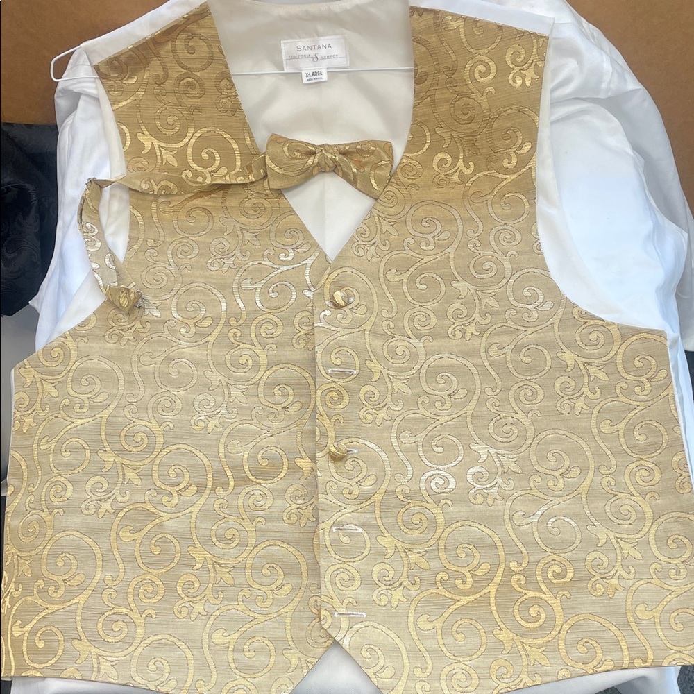 Elegant Gold Patterned Vest by